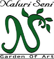 logo ns